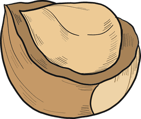 Deliciously Rich Hazelnut Delight PNG