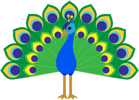Majestic Peacock with Vibrant Plumage PNG
