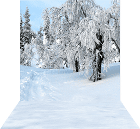 Whispers of Snow A Winter Wonderland PNG
