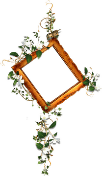 Nature's Elegance Picture Frame Display PNG