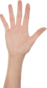 Open Hand Reaching for Possibilities PNG