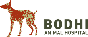 Bodhi Animal Hospital Compassionate Care for Pets PNG