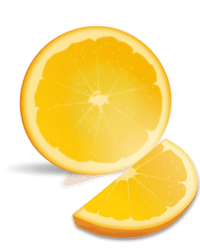 Bright and Juicy Citrus Slice Delight PNG