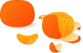 Citrus Delight The Orange Fruit Experience PNG