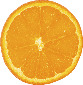 Vibrant Citrus Fruit Delight PNG