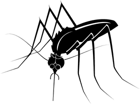 Effective Mosquito Repellent for Outdoor Adventures PNG