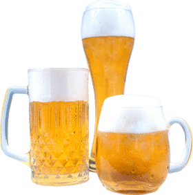 Variety of Beer Glasses with Foam and Bubbles PNG