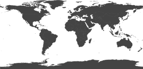 Stylized Artistic Representation of World Map PNG