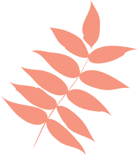 Coral Elegance Leaf Arrangement PNG