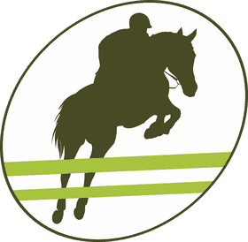 Equestrian Sport Jumping Over Barriers PNG