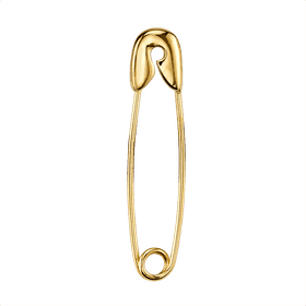 Golden Elegance The Classic Pin Statement PNG