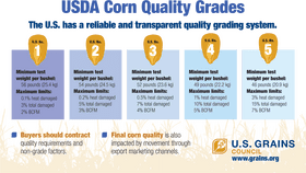 Ecology of Sustainable Corn Quality Grading PNG