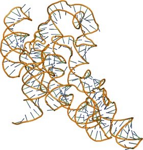 Intricate Molecular Structure of Protein Molecule PNG