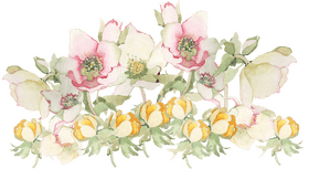 Delicate Blossom Flower Arrangement PNG