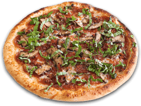Presentation of Gourmet Pizza Delight PNG