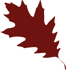 Crimson Autumn Leaf Elegance PNG