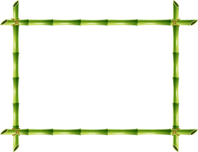 Bamboo Forest Serenity Frame PNG