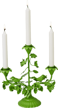 Elegant Green Floral Candle Holder with Birds PNG