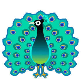 Elegant Peacock in Vibrant Plumage PNG