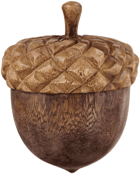 Whimsical Wooden Acorn Treasure Box PNG