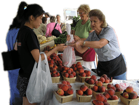 Fresh Produce Market A Community Experience PNG
