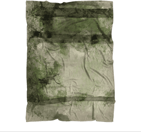 Gentle Whisper of the Insect World PNG