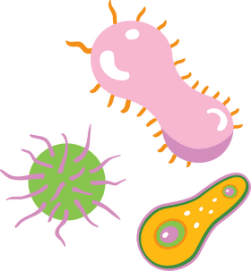 Colorful Bacteria in Vibrant Shapes and Forms PNG