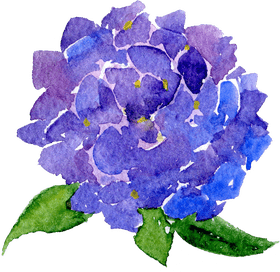 Majestic Purple Flower Blossom PNG