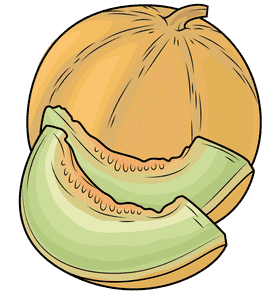 Refreshing Melon Slice Delight PNG