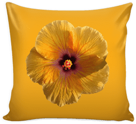 Vibrant Floral Pillow Cushion Bliss PNG