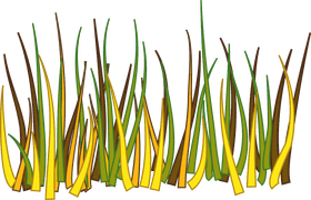 Vibrant Shades of Grass Harmony PNG