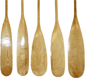 Canoe Paddle Display Craftsmanship and Variety PNG
