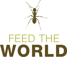 Insect Kingdom A World of Wonders PNG