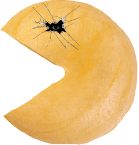 Insect's Hidden Realm in a Cracked Shell PNG