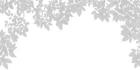 Effortless Cleanup with a Leaf Blower PNG