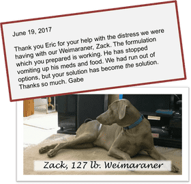 Essential Pet Stuff for Happy Healthy Pets PNG