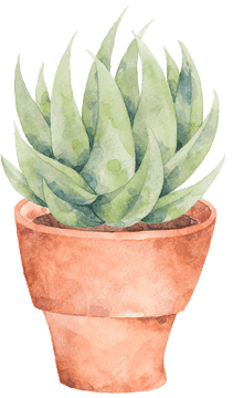 Peaceful Aloe Vera Succulent Life PNG
