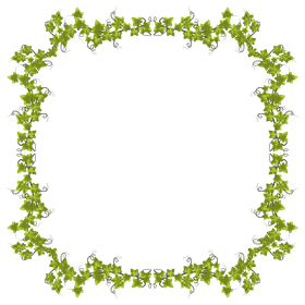 Ivy Leaf Enchantment Nature's Elegant Frame PNG