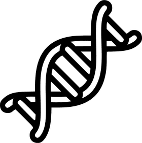 Exploring the Intricacies of DNA PNG