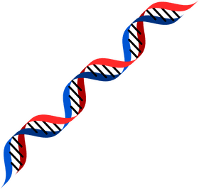 DNA The Essence of Life's Blueprint PNG