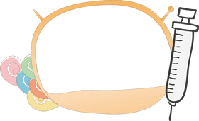 Syringe and Colorful Medicine Bottles PNG