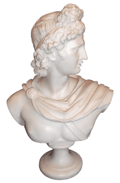 Elegant Face Powder Bust Display PNG