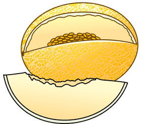 Golden Melon Slice Delight PNG