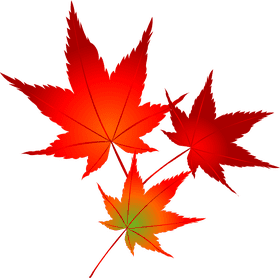 Vibrant Autumn Leaf Trio PNG