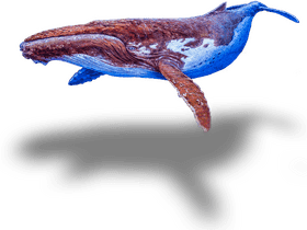 Whale's Journey Through the Enchanted Forest PNG