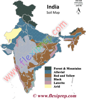 USA Map A Comprehensive Guide to Geography and Regions PNG