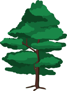 Whimsical Pine Cone Tree Illustration PNG