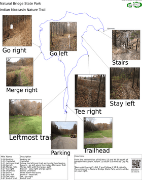 Scenic Hiking Trail Through Autumn Woods PNG