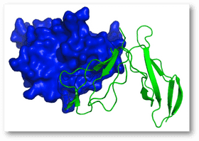 Protein Shaker Molecular Structure Unleashed PNG