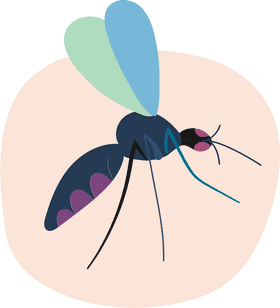 Effective Mosquito Repellent for Outdoor Protection PNG